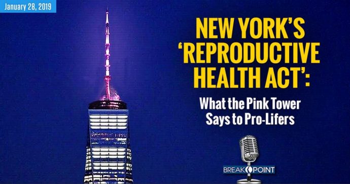 New York S ‘reproductive Health Act What The Pink Tower Says To Pro Lifers Dispatches