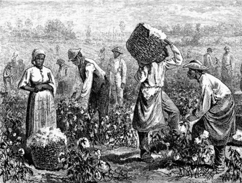 Did Slavery Create American Prosperity? » Dispatches